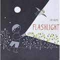 Flashlight : (Picture Books Wordless Books for Kids Camping Books for Kids Bedtime Story Books Children s Activity Books Children s Nature Books) 9781452118949 Used / Pre-owned