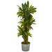 58" Corn Stalk Dracaena Artificial Plant in Black Embossed Tin Planter (Real Touch) - 58