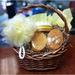 Shea Butter and Honey Bee Massage Bar Soap Gift Basket (5 Piece Set)