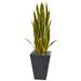 3.5' Sansevieria Artificial Plant in Slate Planter - 41