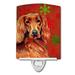 Caroline s Treasures LH9344CNL Irish Setter Red and Green Snowflakes Holiday Christmas Ceramic Night Light 6x4x3