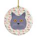 The Holiday Aisle® British Shorthair Cat Christmas Hanging Figurine Ornament /Porcelain in Gray/Green/Pink | 2.81 H x 2.81 W x 0.15 D in | Wayfair
