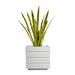 Laura Ashley Panama 35" Artificial Snake Plant in Planter Plastic/Fiberstone in White | 44 H x 20 W x 20 D in | Wayfair VHX121211