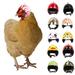 Happy Date 6 Pieces Chicken Helmet Pet Safety Helmet Funny Parrot Helmet Chicken Bird Hat Headwear Small Pet Hard Hat Pet Helmet Costumes Accessories for Chicken Bird Parakeetï¼ˆ Random Colorï¼‰