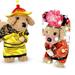 SPRING PARK Dog Emperor Princess Costumes for Halloween Spring Festival Christmas Pet King Princess Apparel Cat Chinese Traditional Tang Suit Cosplay Coat