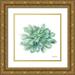 Wilson Kelsey 15x15 Gold Ornate Wood Framed with Double Matting Museum Art Print Titled - Single Succulents IV