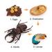 Kayannuo Deals 4 Piece Insect Figure Animal Life Cycle Plastic Brood To Mature Period