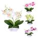 SPRING PARK 1Pc Artificial Butterfly Orchid Flower Silk Flower Bouquet Artificial Flower Plant for Wedding Home Decoration