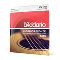 D'Addario Gitarrensaiten Westerngitarre | Gitarrensaiten Akustikgitarre | SAcoustic Guitar Strings | tahlsaiten 12-saitige | DER BELIEBTESTEN SAITENMARKE | EJ39 | Phosphor Bronze | Medium (12-52)