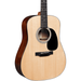 Martin D-12E Dreadnought Acoustic-Electric Guitar Natural