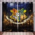 Doiicoon Harry Poter Blackout Curtains Eyelets for Bedroom, Hogwarts School Hermione Blackout Curtain Set for Children's Room (11.220 x 215 cm (2 x 110 x 215 cm))