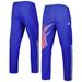 Men's adidas Blue Japan National Team Travel Pants