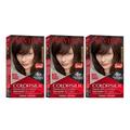 Revlon Colorsilk Beautiful Color Permanent Hair Color Long-Lasting High-Definition Color Shine & Silky Softness with 100% Gray Coverage Ammonia Free 032 Dark Mahogany Brown 3 Pack