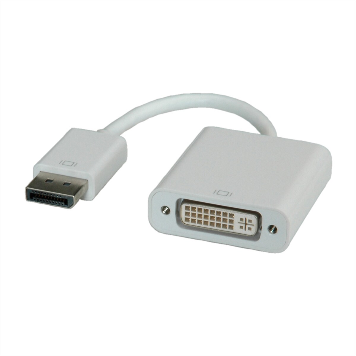 ROLINE DisplayPort-DVI Adapter, DP Stecker-DVI Buchse Image