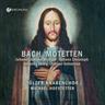 Bach-Motetten - Hofstetter, Tölzer Knabenchor, Leupold, Wolf. (CD)