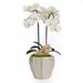 T&C Floral Company Double Orchid Centerpiece in Pot Plastic | 23 H x 9 W in | Wayfair F2259CWC