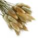 50PCS Dried Rabbit Tail Grass Flowers Artificial Plant Used for Home Wedding Party Theme Decoration