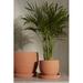 AllModern Elisabeth Ceramic Pot Planter Ceramic | 11.25 H x 10.25 W x 10.25 D in | Wayfair FDE1DAF925E847DEBBEA4EB81643D914