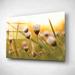 Gracie Oaks Epic Art 'Daisy at Sunset' by Martin Podt, Acrylic Daisy at Sunset by Martin Podt - Unframed Print Plastic/Acrylic | Wayfair