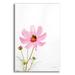 Gracie Oaks Pale Cosmos II by Debra Van Swearingen - Unframed Photograph Plastic/Acrylic | 16 H x 12 W x 0.13 D in | Wayfair