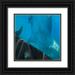 Fitzharris Tim 12x12 Black Ornate Wood Framed with Double Matting Museum Art Print Titled - Whale shark at Oslob Whale Shark Sanctuary-Cebu-Philippines