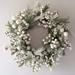 Primrue 22" Lighted Polyurethane Wreath Most Realistic Faux in Green/White | 22 H x 22 W x 3 D in | Wayfair F593A8528C064B9B82EBCFFF1EDF273E