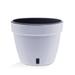 â­� Santino ASTI 7.9 Inch Self Watering Planter WHITE/BLACK for Indoor Plants - Premium Modern Plastic Planter Pot w/ Water level Indicator for All House Herbs Plants African Violets and Dahlias