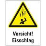 Schild I Warn-Kombischild Warnung vor Eisschlag, Aluminium, 300x400mm, DIN EN ISO 7010