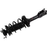 2004-2006 Scion xB Front Strut and Coil Spring Assembly - API