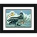 Fitzharris Tim 14x11 Black Ornate Wood Framed with Double Matting Museum Art Print Titled - Brown Pelican with White Pelicans