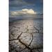 Rosecliff Heights Geometric Patterns In Drying Mud Alvord Lake A Seasonal Shallow Alkali Lake In Harney County Oregon Poster Print By Alan Majchrowicz (18 X 24) Paper | Wayfair