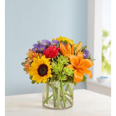 1-800-Flowers Everyday Gift Delivery Floral Embrac...