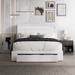 Mercer41 Gouker Tufted Storage Platform Bed Upholstered/Velvet in Gray/White | 57 H x 47 W x 76 D in | Wayfair 9216A775D7DC4035A10454F8F218E574