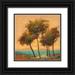 Tienhaara Michael 15x15 Black Ornate Wood Framed with Double Matting Museum Art Print Titled - Palms Setting Sun