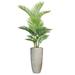 Vintage Home Panama 66" Artificial Palm Tree in Planter Wood/Resin/Fiberstone/Stone in Gray/Brown | 70 H x 38 W x 38 D in | Wayfair VHX152235