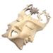 Bungalow Rose Brahman Wood Mask Wall Décor in Brown | 9.75 H x 6.75 W x 2.8 D in | Wayfair C2705C1B36E8408FB2AFDA66BEDF9FF1