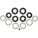 2016-2017 Lexus GS F Front Disc Brake Caliper Seal Kit - Raybestos