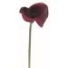 Aubergine Calla Lily Garden Stem Artificial Flower - Purple