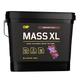 CNP Professional Mass XL, High Calorie Lean Mass, Muscle & Bulk, Weight Gainer Protein Powder Shake 4.8kg, 4 Flavours Available (Chocolate)