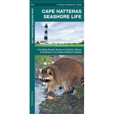 Cape Hatteras Seashore Life: A Folding Pocket Guide To Familiar Plants & Animals In The Cape Hatteras Region