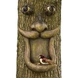 Bits and Pieces - Tree Face Bird Feeder - Yard Decorations - Whimsical Tree Hugger Sculpture - Indoor/Outdoor Decoration - Garden Peeker Yard Art