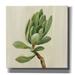 Red Barrel Studio® 'Front Yard Succulent III' By Silvia Vassileva, Canvas Wall Art, 37"X37" Canvas, Wood in Green | 37 H x 37 W x 1.5 D in | Wayfair