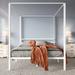 Ebern Designs Kyvin Canopy Bed, Metal in White/Brown | 72 H x 54 W x 80 D in | Wayfair 086C735958D84711B7A9C6D3787473AF