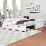 Twin-King Size Extendable Daybed Storage Wood Sofa Bed with Twin Trundle and 2 Drawers for Bedroom Living Room