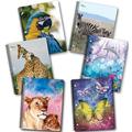 New Generation - Wild Life - 1 subject 70 sheets 8 x 10.5 wire bound spiral notebook 6 pack wide ruled heavy duty covers 3 hole punch perforated sheets (6 pack spiral notebook) (wild life)