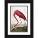 Audubon John James 13x18 Black Ornate Wood Framed with Double Matting Museum Art Print Titled - American Flamingo