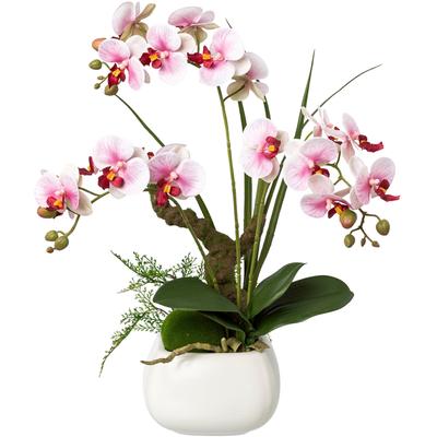Kunstorchidee CREATIV GREEN "Deko-Orchidee Phalaenopsis im Keramiktopf", lila, B:20cm H:46cm L:20cm, Obermaterial: 95% Polyethylen, 5% Polyester, Kunstpflanzen Image
