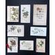 A selection of eight McKenzie, and others Christmas cards- Be different and send Antique Christmas cards. Recycling at its best.