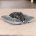FurHaven Plush Fur & Diamond Print Cuddle Loaf Bolster Pet Bed Polyester in Gray | 2.75 H x 18 W x 16 D in | Wayfair 93236317
