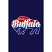 Northlight Seasonal Buffalo Outdoor House Flag | 18 H x 12.5 W in | Wayfair NORTHLIGHT FG99301